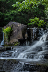 JayOBrien/JaynesGallery/DantaDelimont.com