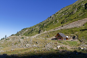 Fototapete bei efototapeten.de bestellen   