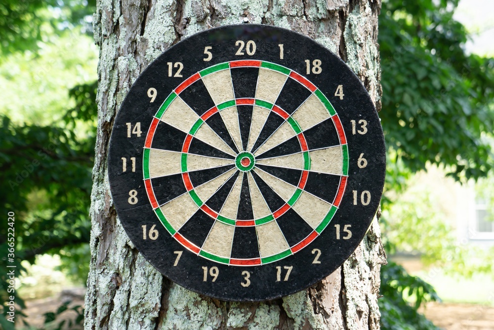 Poster closeup of a dartboard on a tree in a park under the sunlight with a blurry background