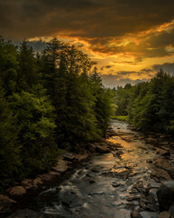 JayOBrien/JaynesGallery/DantaDelimont.com