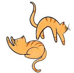 Vector set of funny cats lying, sitting, stretching itself, sleeping. Flat cartoon vector illustration. Cute cartoon cat set with different poses