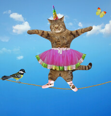 The beige cat unicorn acrobat in ballet dancer clothes with a pole is walking on the tightrope. A...