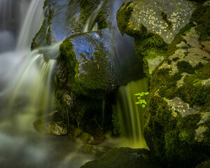 JayOBrien/JaynesGallery/DantaDelimont.com