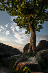 JayOBrien/JaynesGallery/DantaDelimont.com