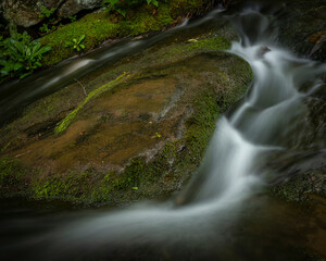 JayOBrien/JaynesGallery/DantaDelimont.com