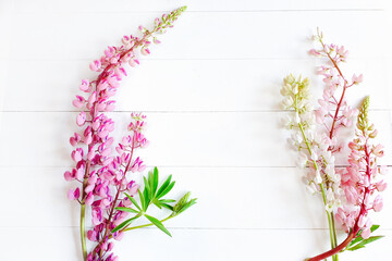 White and light pink lupines on a shabby white board wooden table. Top view of a flower frame. Lovely summer flat lay. Copy space for your text and product.