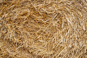 Close up of straw / hay bale background / texture / pattern / wallpaper. Rye / wheat surface