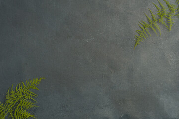 green leaves on gray background, central text space. top view
