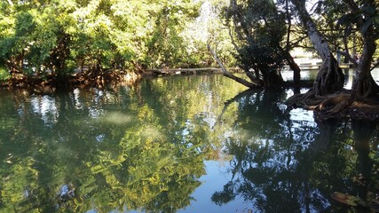 reflection in water