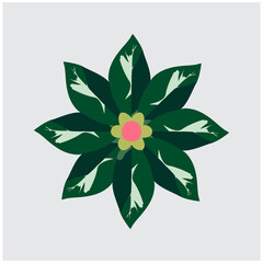 Green flowers with red buds