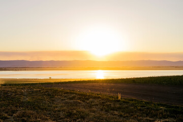 Beautiful sunset in summer on the lake