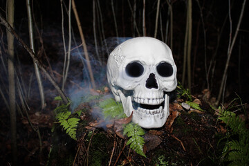 Grinning white human skull with blue smoke around on wet ground with plants
