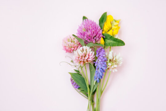 Flat lay of miniature wildflowers on pink paper background, copyspace for summer and wedding design. Boutonniere from clover and mouse pease