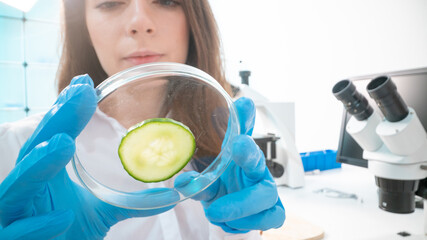 Inspection of the quality of vegetables and fruits in the laboratory of food quality