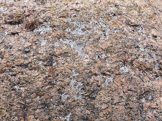 The Natural stone texture, big dark brown rock. Natural background. Moss and lichens on rock. Top view
