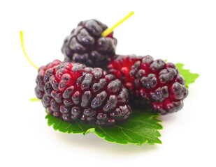 Mulberries fruit and leaves.