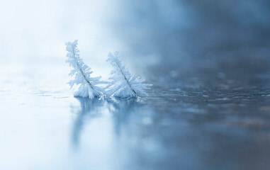 ice crystals on two twigs in frozen lake