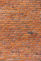 Naklejka premium brick red wall texture. background of a old brick house.