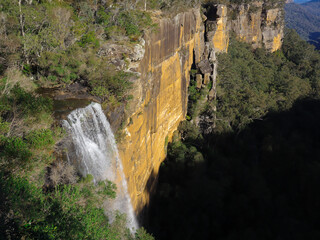 Fototapeta premium Beautiful flowing River in Fitzroy Falls in Bowral NSW Australia