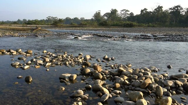 Murti river in the morning, riverbed in foreground with flowing water and stones. Beautiful Dooars landscape, West Bengal, India.