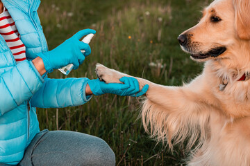 Girls hand holding dogs paw to disinfect with a hand-washing spray. Paws care, health care