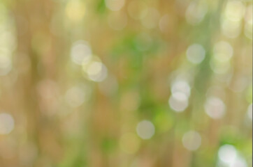 Blurry spots of leaves and glare from the sun on them. Background from green and shades of green, yellow, white and beige defocused circles. Hexagon bokeh in soft pastel shades of green for summer