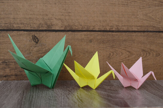 Origami cranes in row