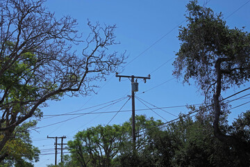 Landscape with electricity distribution pylons, power lines, trees and blue sky