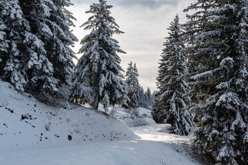Massif de Belledonne - Isère.