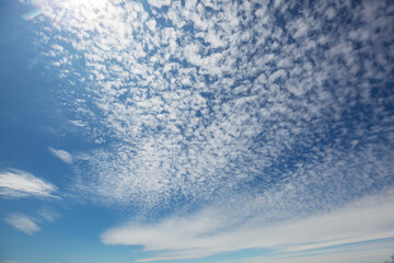 Obraz premium Blue sky