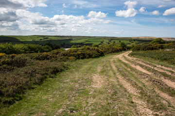 Fototapeta na wymiar Exmoor landscape with open moorland divided by hedges