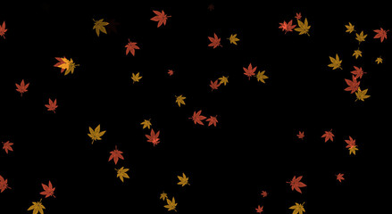 Fototapeta na wymiar autumn leaves falling effect