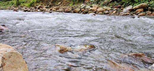 Photo of a stones in the river