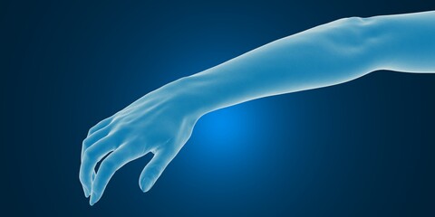 3D render - scan of a human hand