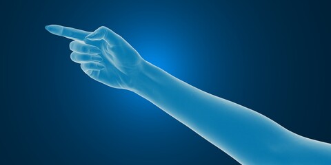 Fototapeta na wymiar 3D render - scan of a human hand