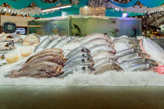 Showcase fish shop, different types of fish lying on the ice. Sale of fresh fish, counter of seafood market