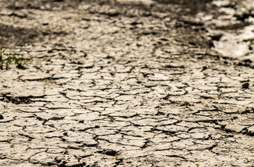 cracked soil textured background