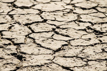 dry cracked ground