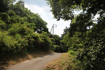 市川三郷町夏の風景