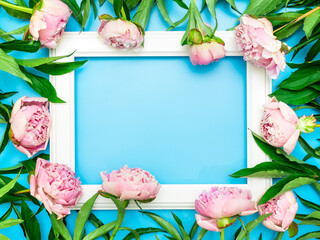 White frame surrounded by beautiful pink peonies on a blue background, top view, copy space, flat lay. Mockup greeting card, invitations to a holiday or wedding. Bright summer flower concept