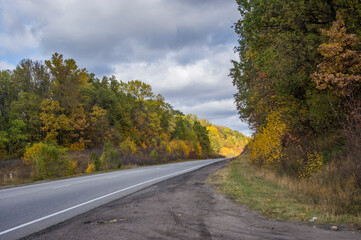 road in autumn forest