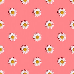 Fototapeta na wymiar White daisies on a pink background with hard shadows, flat flat, top view, seamless texture. Floral bright pattern. Minimalistic bright summer background in pop art style. Fashionable solar light
