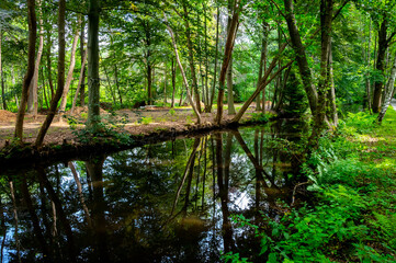 Water canal in Belgium, province Antwerpen near Retie