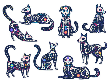 Day animals. Dia de los muertos, cats and dogs skulls, skeletons decorated with flowers, traditional mexican latin holiday vector symbols. Day of dead, pets with bones and blossom for party