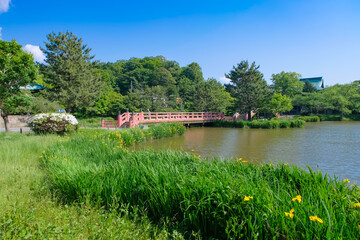 横浜市 称名寺 平橋