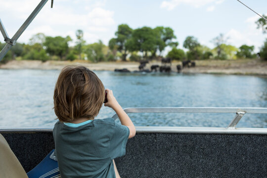 Rear view of 5 year old boy taking pictures of elephants at waters edge on the Zambezi River
