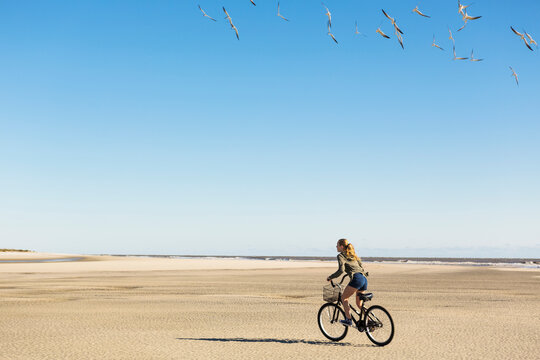 A teenage girl cycling on sand towards a flock of seagulls, St. Simon's Island, Georgia