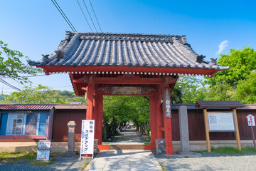 Fototapeta premium 横浜市 称名寺 赤門
