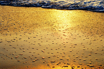 Florida- Abstract Background- Golden Sunrise Light on Bubbled Surf