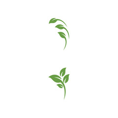 Leaf Logo Template vector symbol